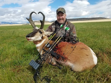 Montana Antelope Archery Buck